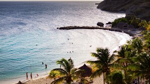 A beach with clear blue water, palm trees, and a rocky cliff.