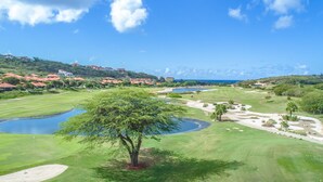 A golf course with a large pond, a tree, and houses in the background.