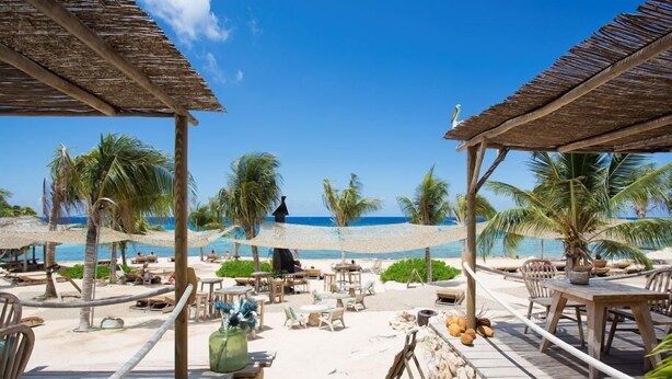 Eine Terrasse am Strand mit Holztischen und -stühlen, Palmen und Blick auf das Meer.