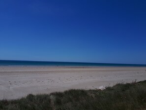 Playa en los alrededores y camastros 