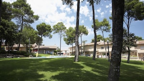 Un espace verdoyant bien entretenu, avec de grands arbres et un ciel dégagé.