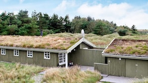 A building with a green exterior and a sloped roof, surrounded by grass and trees. - 4 Star Holiday Home in Lokken (Lokken)