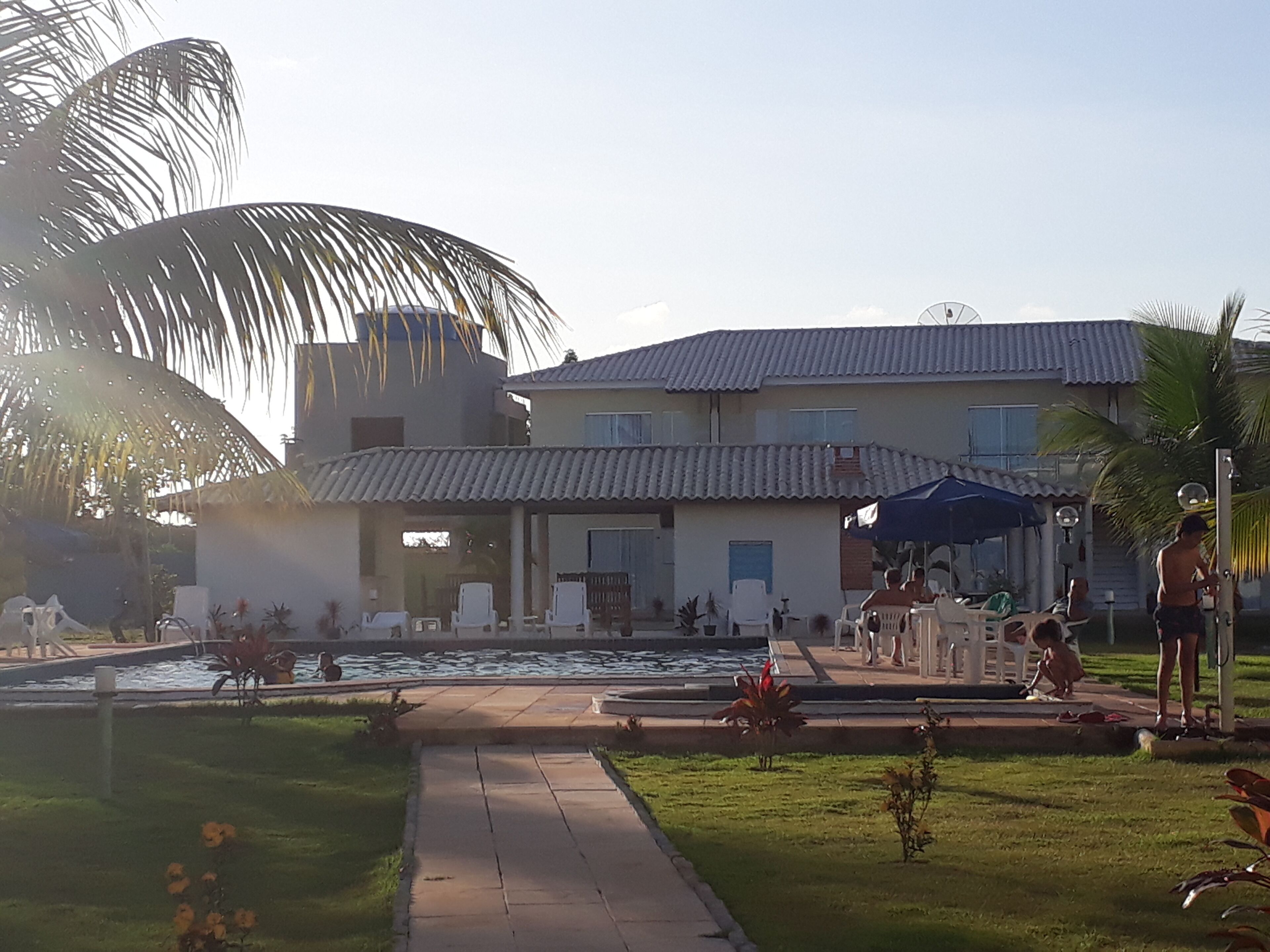 Un complexe hôtelier doté d’une piscine, d’un espace extérieur aménagé et d’un palmier.