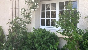 A building with a window, a metal rack, and various plants. - Les Colonnes de Chanteloup (Amboise)