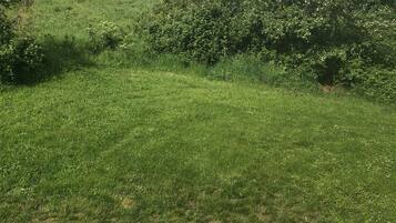 A rural landscape with a grassy field, trees, and a dirt path.
