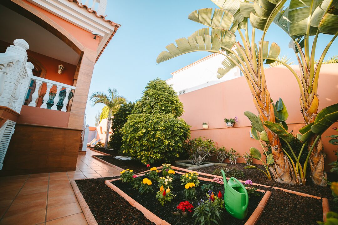 Un patio con suelo de baldosas, diversos maceteros y un árbol grande.