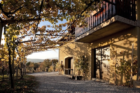 Free self-parking. Vineyard Cottage Brodaric