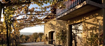 Vineyard Cottage Brodaric