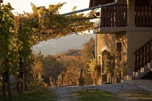 Front of property - Vineyard Cottage Brodaric (Metlika)