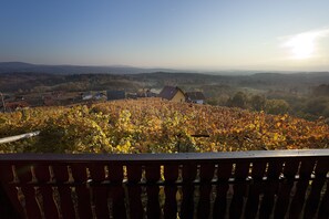 House, 2 Bedrooms, Terrace | Vineyard view - Vineyard Cottage Brodaric (Metlika)