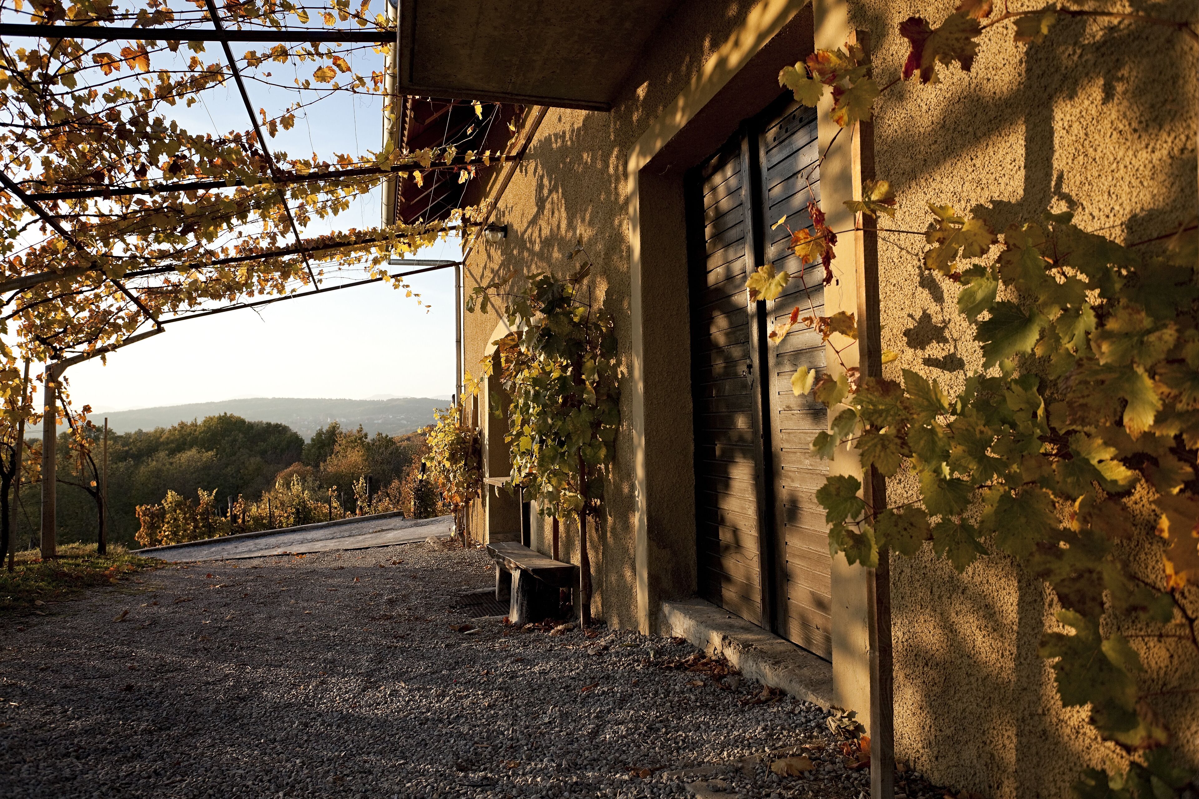 Un bâtiment avec une allée gravillonnée, un banc et des vignes.