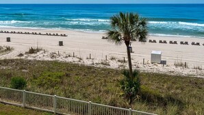A beach with rows of sun loungers, a palm tree, and a white building.