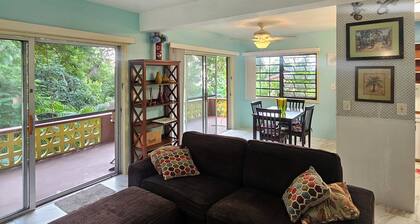 Caret Bay Tropical Hideaway Apt