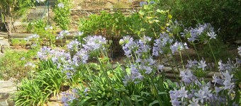 NOUVEAU : Appartement climatisé wifi