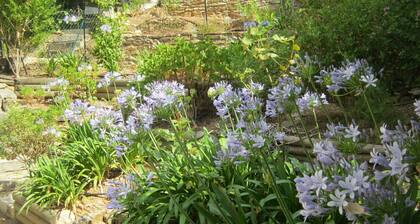 NEW: Air-conditioned apartment with wifi