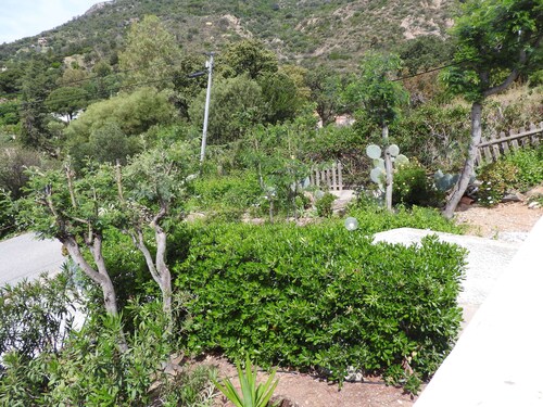 NEW: Le Lavandou Aiguebelle - Air-conditioned sea view apartment with WIFI