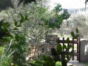 Garden - Fantastico San Teodoro AMB01 (San Teodoro)