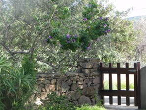 Exterior - Fantastico San Teodoro AMB01 (San Teodoro)