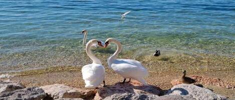 Hus | Utsikt fra overnattingsstedet