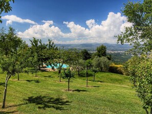Maison | Piscine | Piscine extérieure