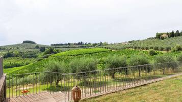 Ferienhaus | Blick von der Unterkunft