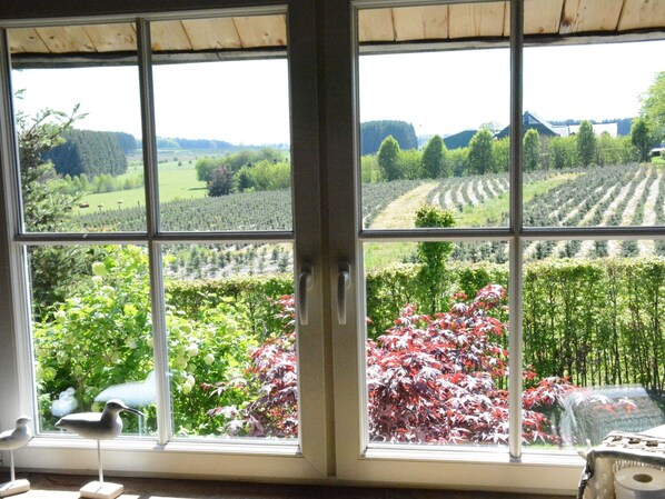 Cottage | Uitzicht vanuit accommodatie