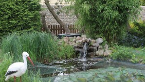 A stork standing by a pond with a waterfall, surrounded by lush greenery and rocks. - Quaint Holiday Home in Schwaan near Lake (Schwaan)