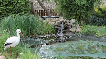 Ferienhaus | Außenbereich