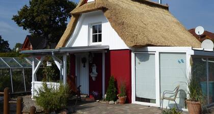 Quaint Holiday Home in Schwaan near Lake