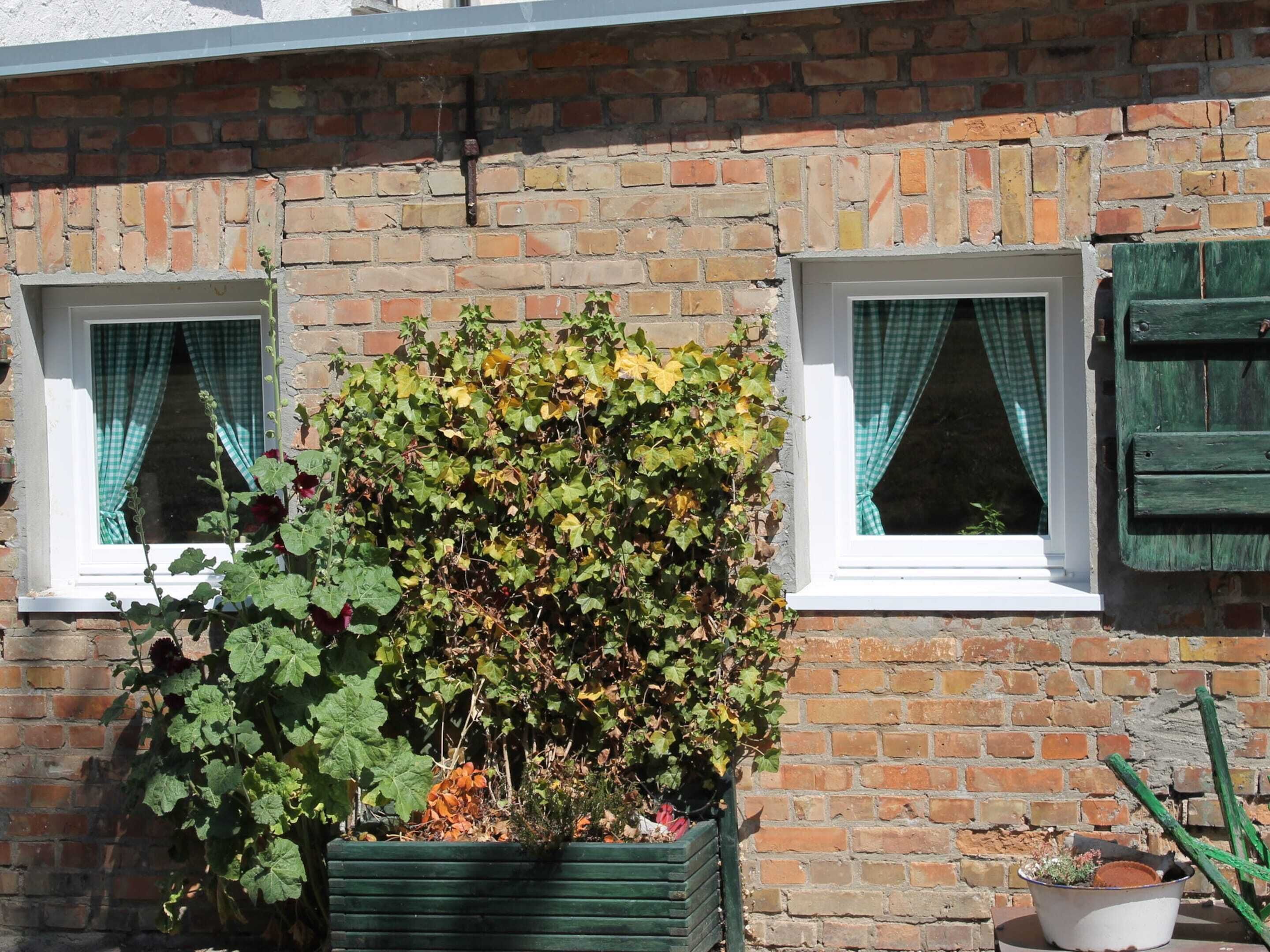 A brick building with two windows, each with green curtains. There is a large bush in front of the left window and a potted plant on the right.