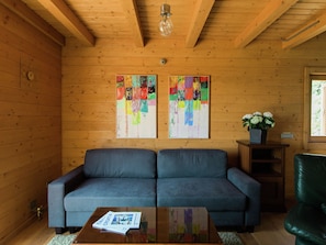 House | Living room | DVD player