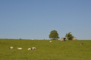 Ferienhaus | Blick von der Unterkunft