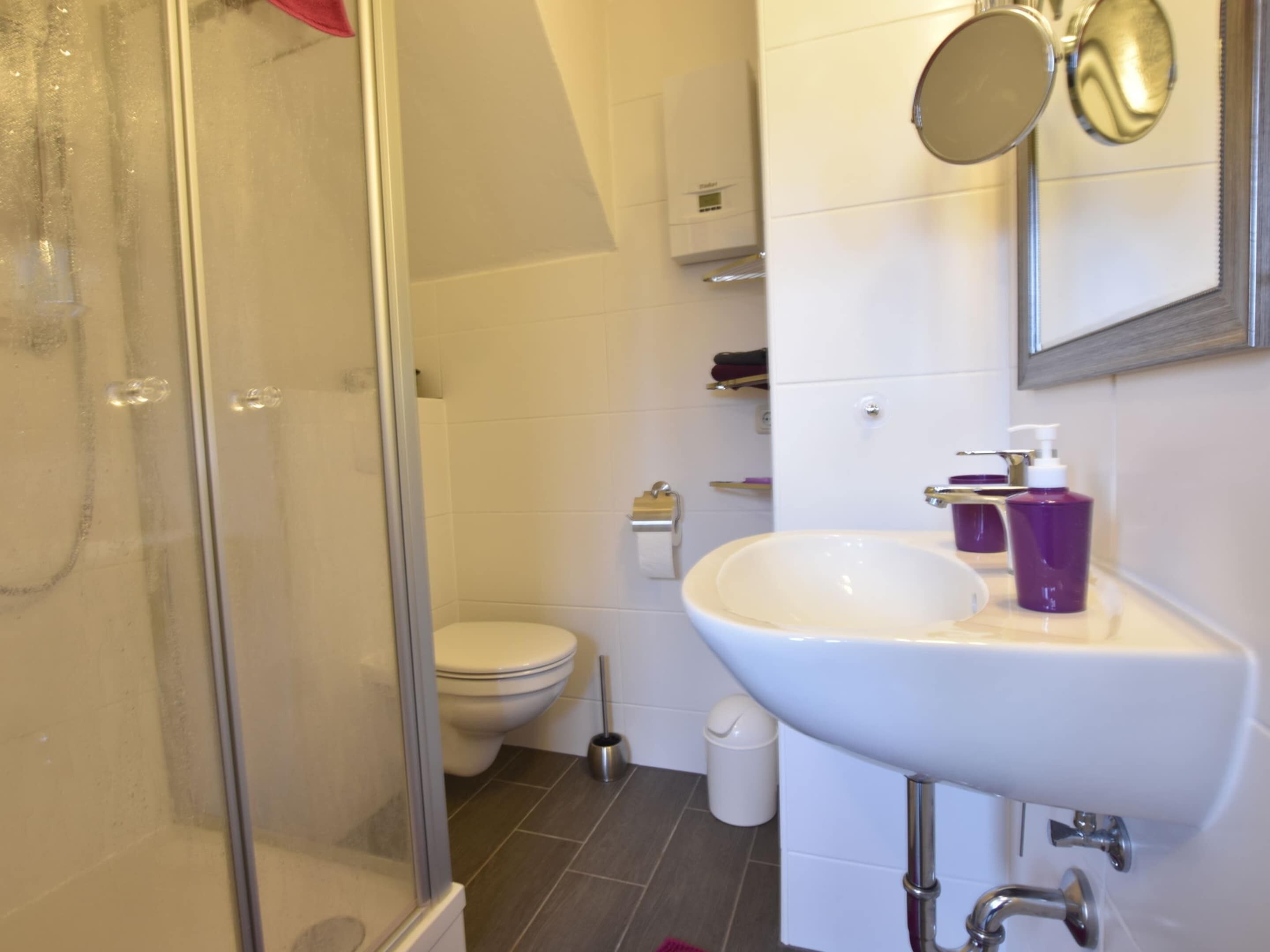 A bathroom with a glass shower enclosure, a white sink with a mirror above it, and a toilet.