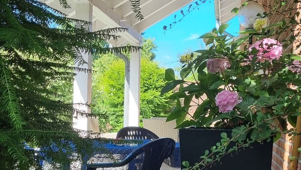 Un espacio exterior cubierto con una pérgola, asientos y abundante vegetación.