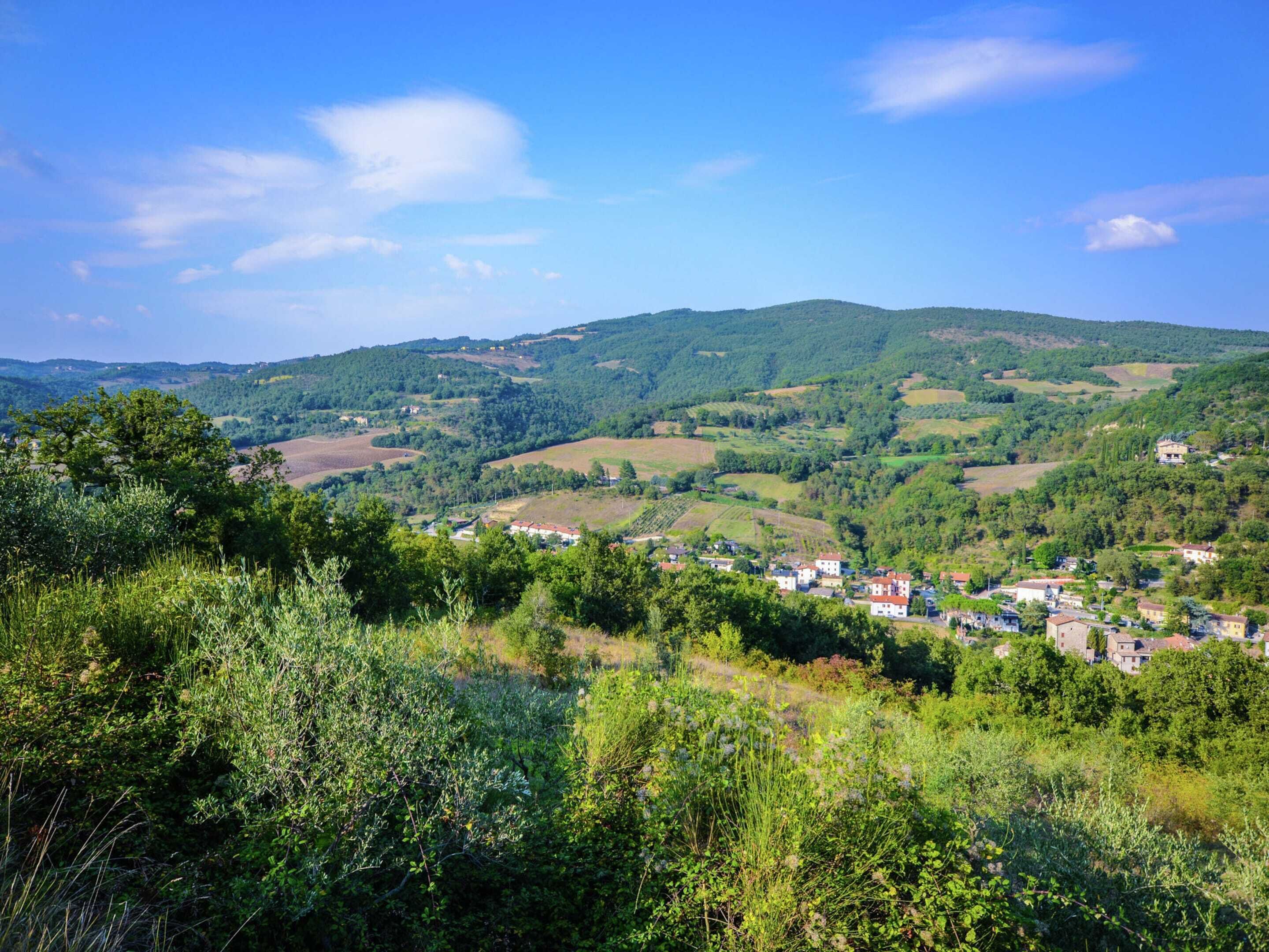 Eine ländliche Landschaft mit sanften Hügeln, verstreuten Häusern und dichter Vegetation.
