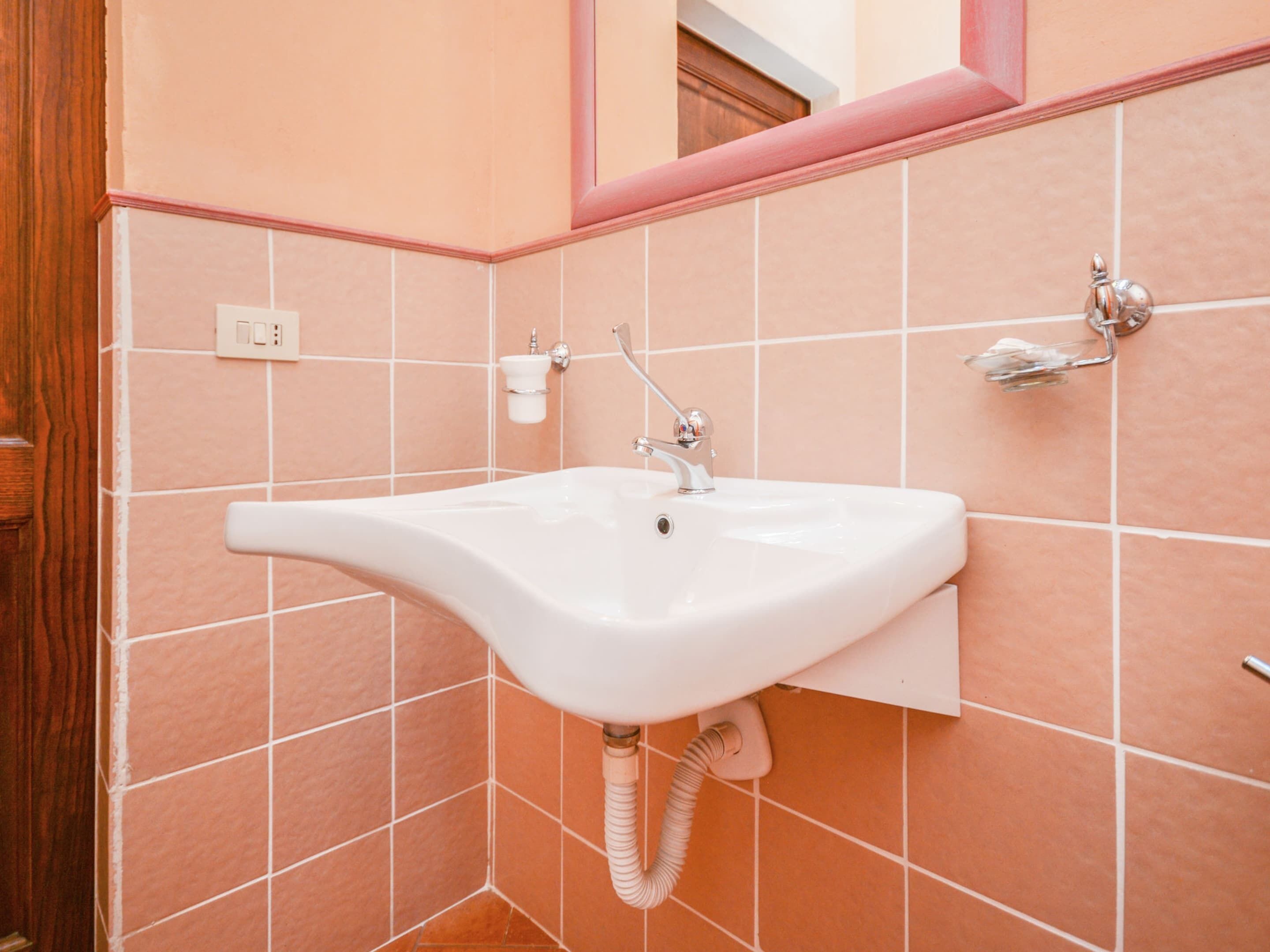 A bathroom with a white sink, a mirror, and a showerhead.