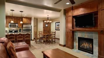 电视、壁炉、DVD 播放器、书