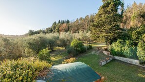 A garden with a green-roofed structure, surrounded by various shrubs and trees.