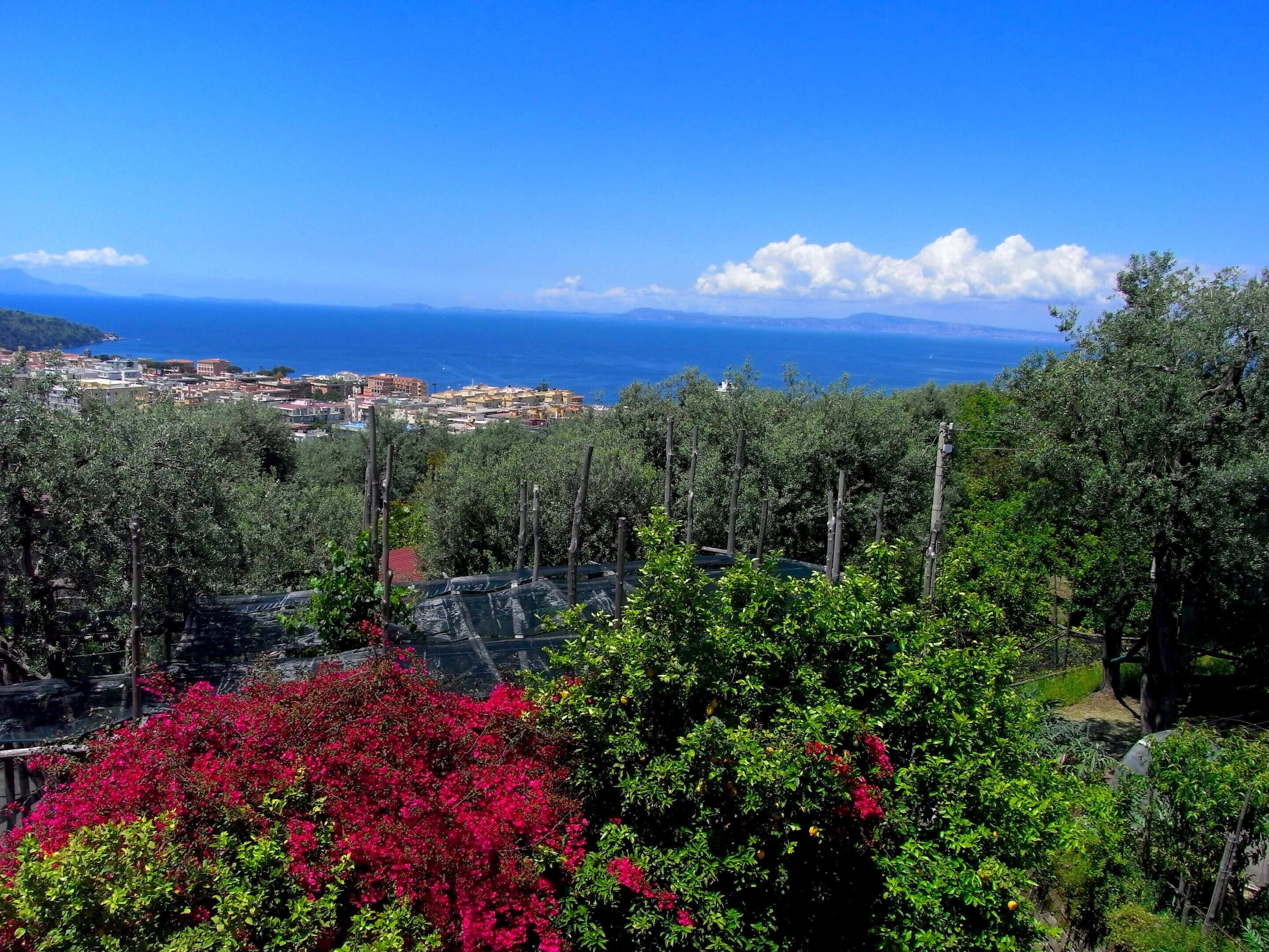 A coastal town with a view of the sea and mountains in the background.