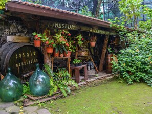 House | Garden - Mansion in Sorrento Near the Beach (Sorrento)