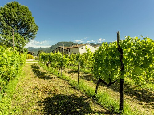 Belvilla by OYO Bilo Della Cascina