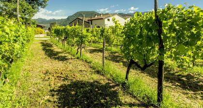 Belvilla by OYO Bilo Della Cascina