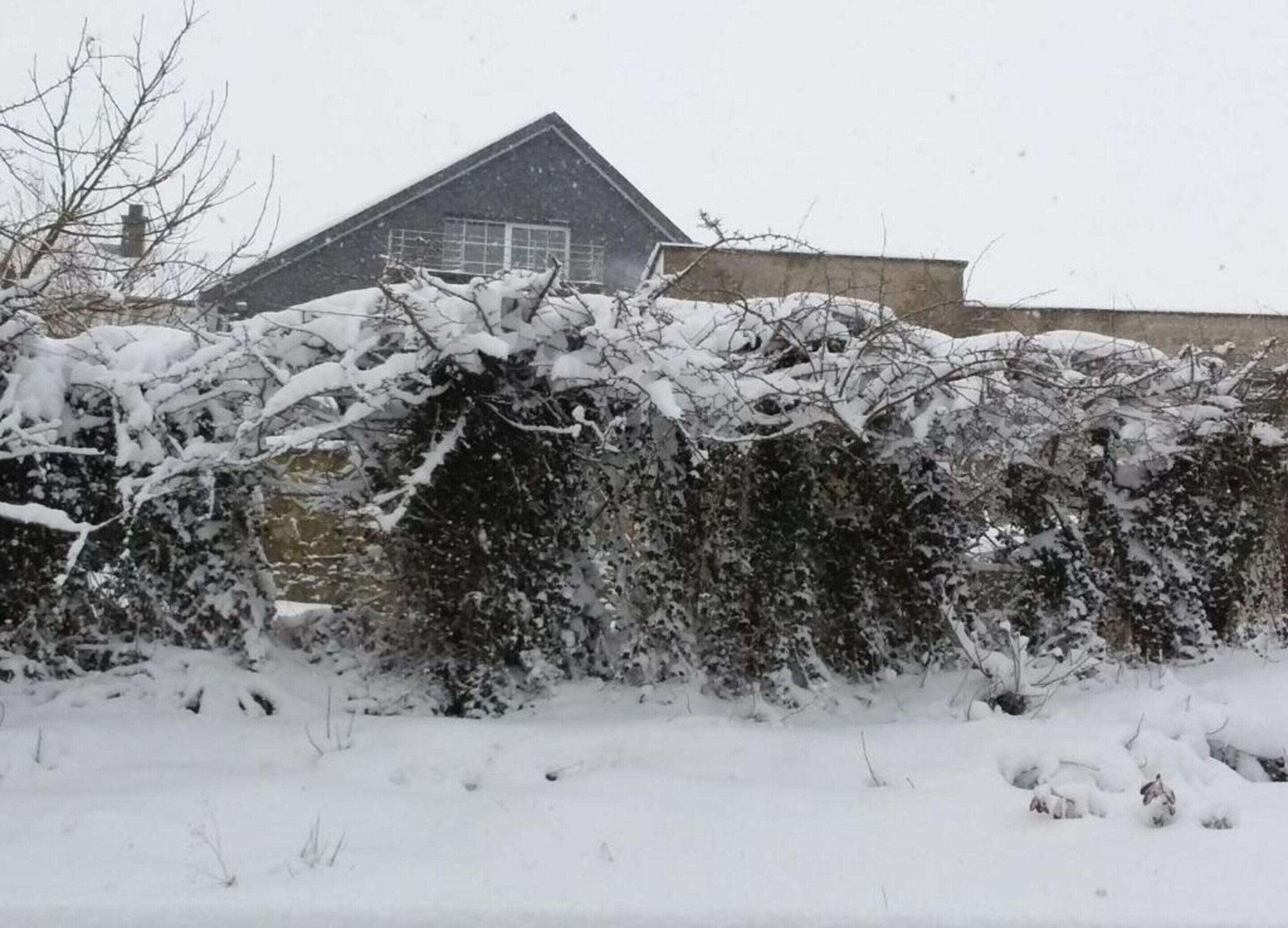 Rumah | Pemandangan dari properti