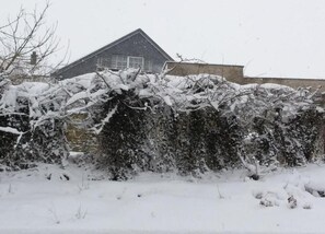 独立别墅 | 住宿景观