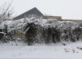 独立别墅 | 住宿景观