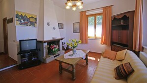 Una sala de estar con televisor, chimenea, sofá y ventana con cortinas.
