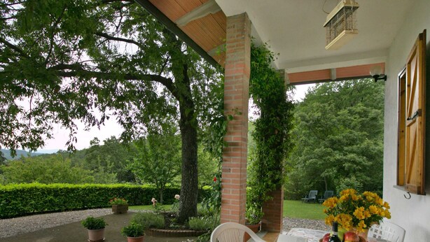 Un patio al aire libre con una mesa lista para comer, rodeado de plantas en macetas y vistas a un jardín exuberante.