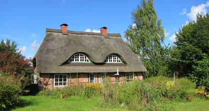 Big Holiday Home in Pronstorf Germany With Private Garden