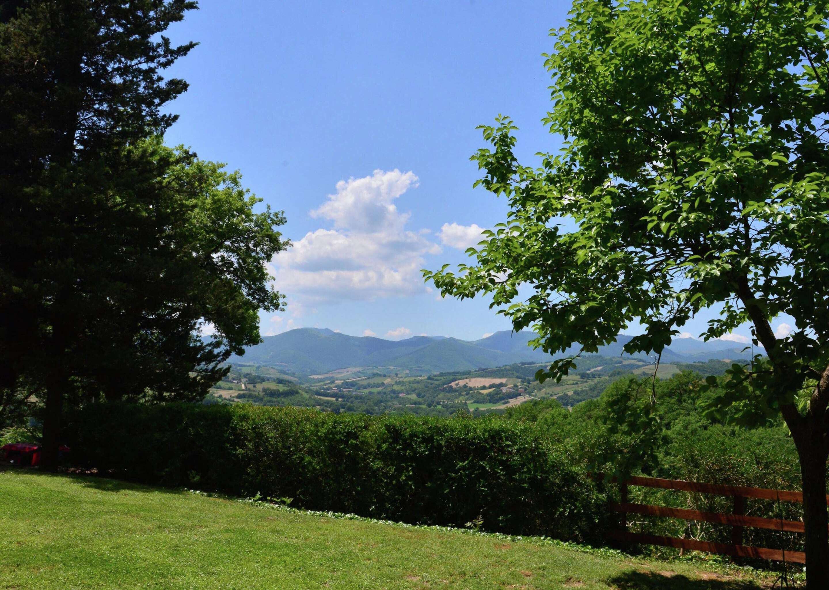 Ein grünes Feld mit Holzzaun und Bäumen.