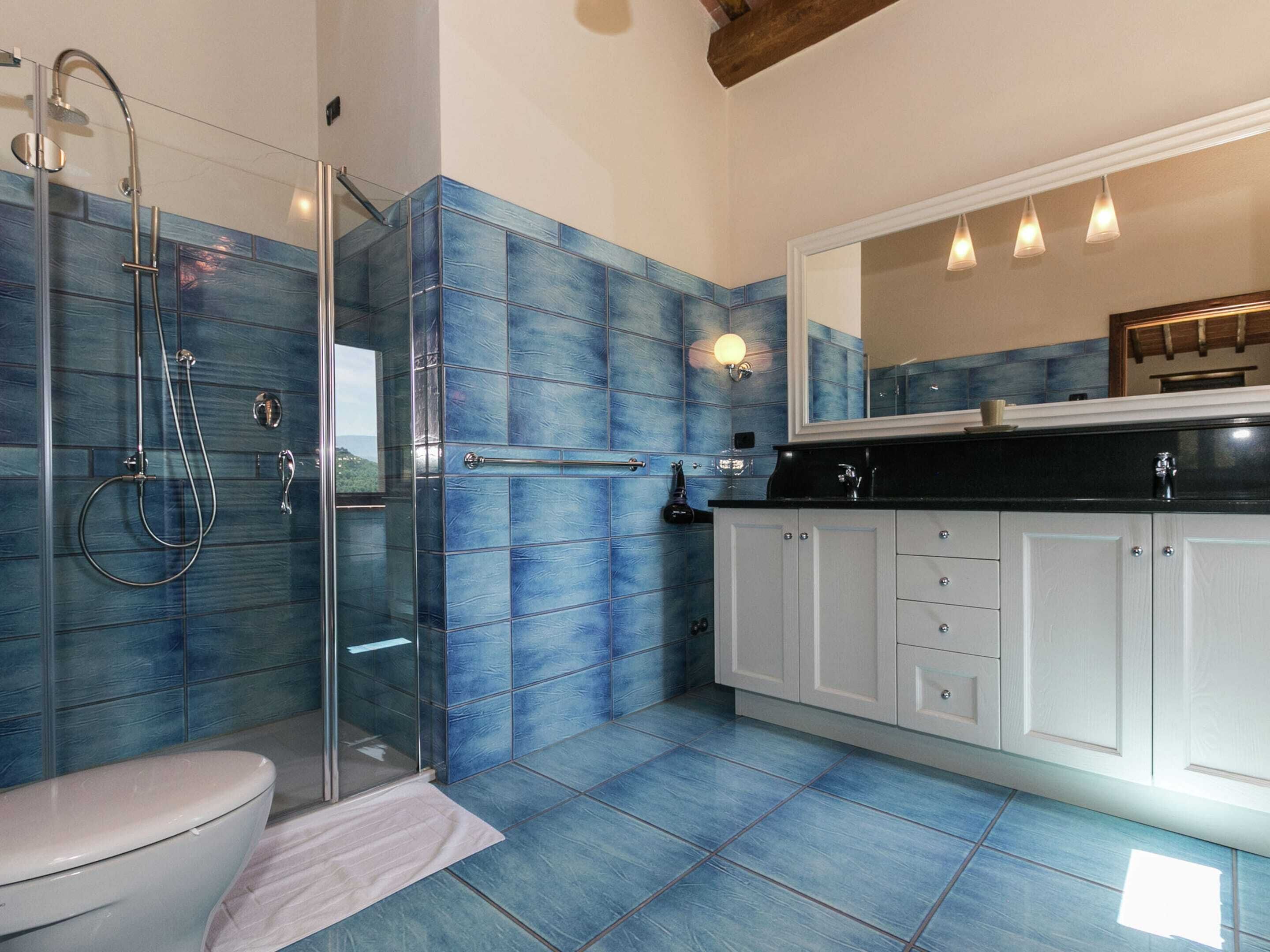 A bathroom with a glass-enclosed shower, a white toilet, and a large mirror above a black countertop.